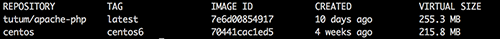 docker_images_after_pull.png enter image description here