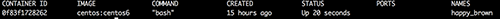 docker_ps.png docke ps commnad